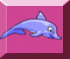Dolphin Dash